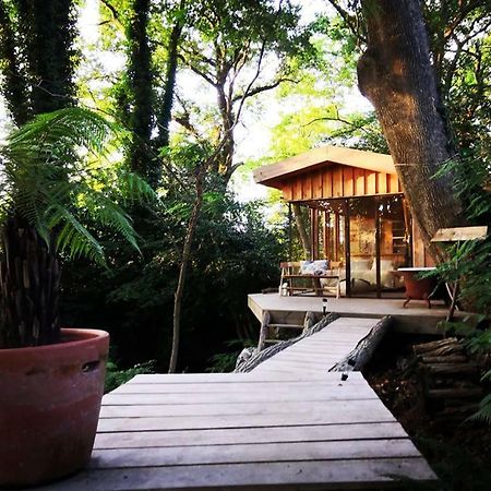 Coco Barn Wood Lodge Angresse Exterior foto